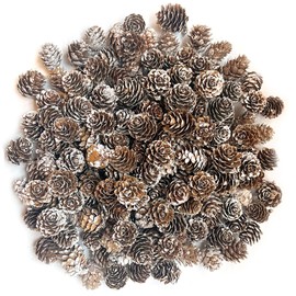 POTWPOT 100Pcs Christmas Snow Pine Cones, Christmas Pinecones Natural Pine Cones White Pine Cones Small Pinecones for Crafts Christmas Party Ornament DIY Home Winter Decoration(2-3cm)