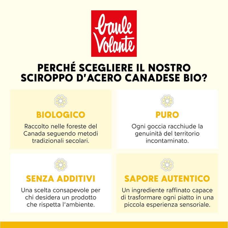 Baule Volante Fior di Loto Sciroppo d'Acero (grado C) 250ml