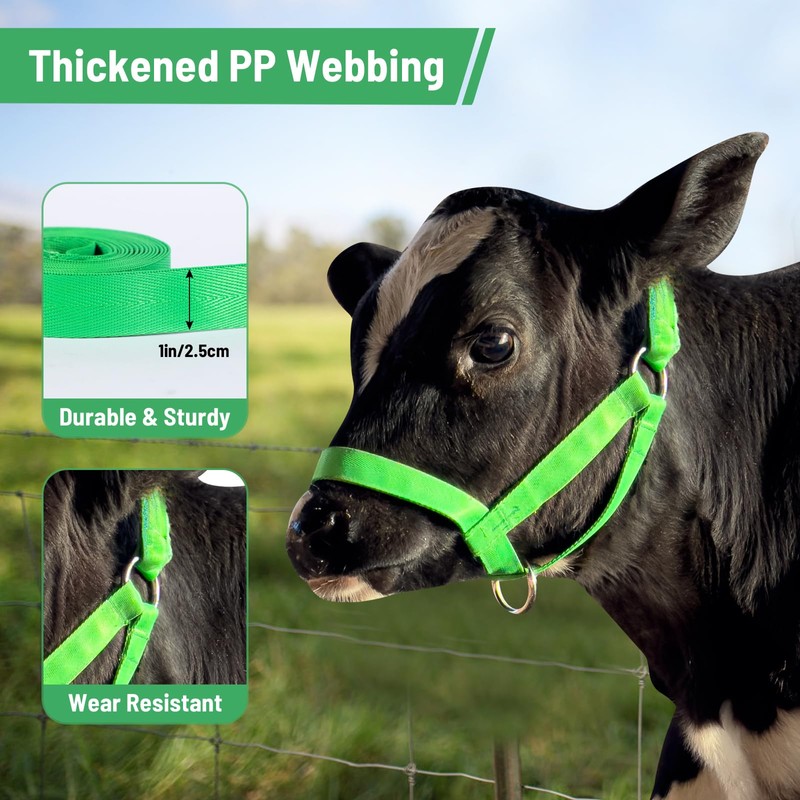 Cow Halter Cattle Halters Adjustable Calf Halter with Leading Rope