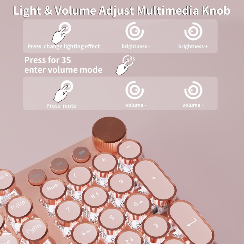 EWEADN V20 Wired Typewriter Keyboard, Typewriter Style Mechanical Keyboards,104 Keys