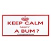 Gay Pride Novelty Bumper Stickers Keep Calm Fancy a Bum