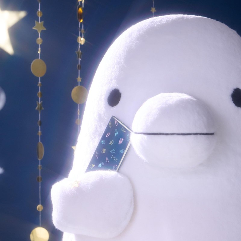 Almost daily Notebook, 2025 Weeks, Almost Toridori / Kirato, Beginning