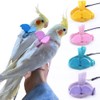 Parrot Harness and Leash Set,Bird Harness for Parrot,Pet Parrot Bird
