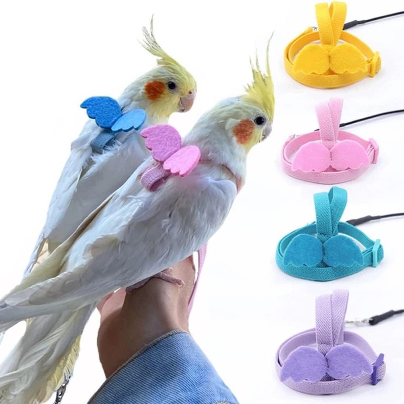 Parrot Harness and Leash Set,Bird Harness for Parrot,Pet Parrot Bird