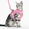 GAUTERF Kitten and Puppy Universal Harness with Leash Set, Escape
