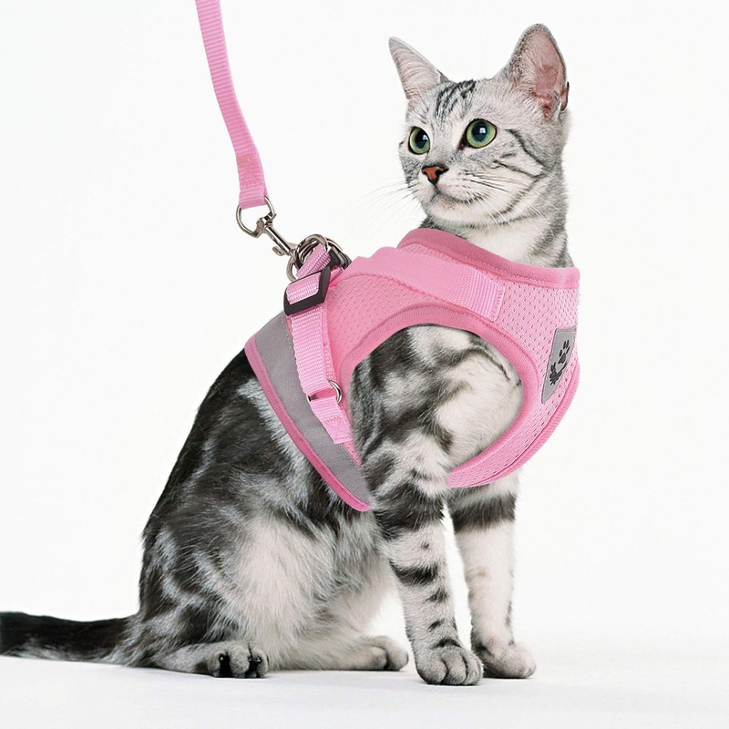 GAUTERF Kitten and Puppy Universal Harness with Leash Set, Escape