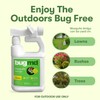 BugMD Mosquito Amigo Ant Killer & Bug Spray - Outdoor