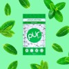 PUR Gum Aspartame Free Chewing Gum Spearmint 100% Xylitol 55