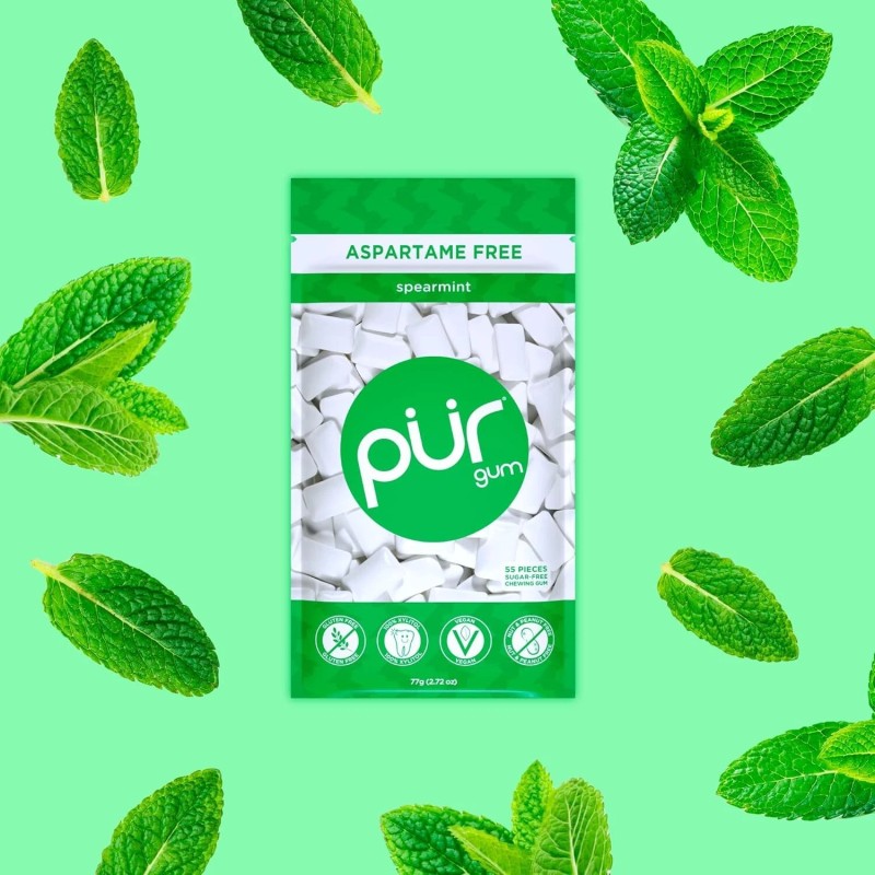 PUR Gum Aspartame Free Chewing Gum Spearmint 100% Xylitol 55