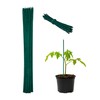 Relaxdays 150 x Plant Stakes, H x D 30 x