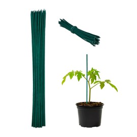 Relaxdays 150 x Plant Stakes, H x D 30 x 0.5 cm, Trellis for Young Plants, with Binding Wire, Bamboo Sticks, Flower Supports, Dark Green