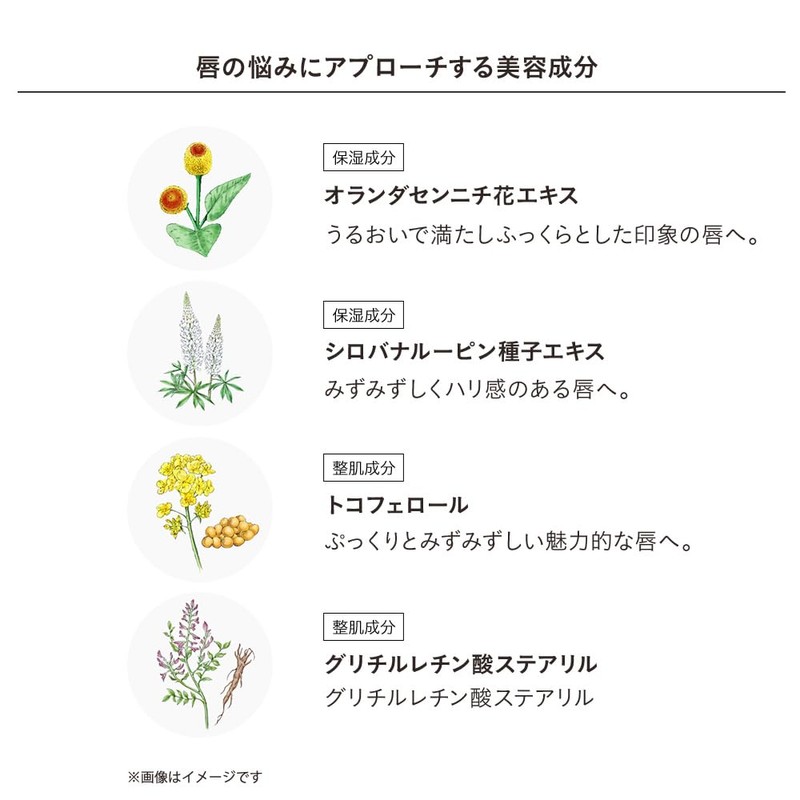 Etovos Mineral Sheer Matte Rouge 4g #Plum Pink