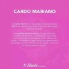 Cardo Mariano E Hinojo Shelo Nabel 30 Ml