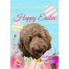 Goldendoodle Apricot - Best of Breed - HHS Easter House