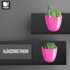 PECZEKO Flower Pot Shiny Plastic Planter Decorative Pot for Large