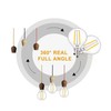 Lxcom Lighting G14 2W E12 LED Bulb G45 Globe Filament