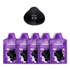 Easy Gray Hair Dye Speed ​​Hair Color 10-Pack (Choose 1 of 4 Colors) / 펴난 새치염색 스피드헤어컬러 10개입(4가지색상중택1)