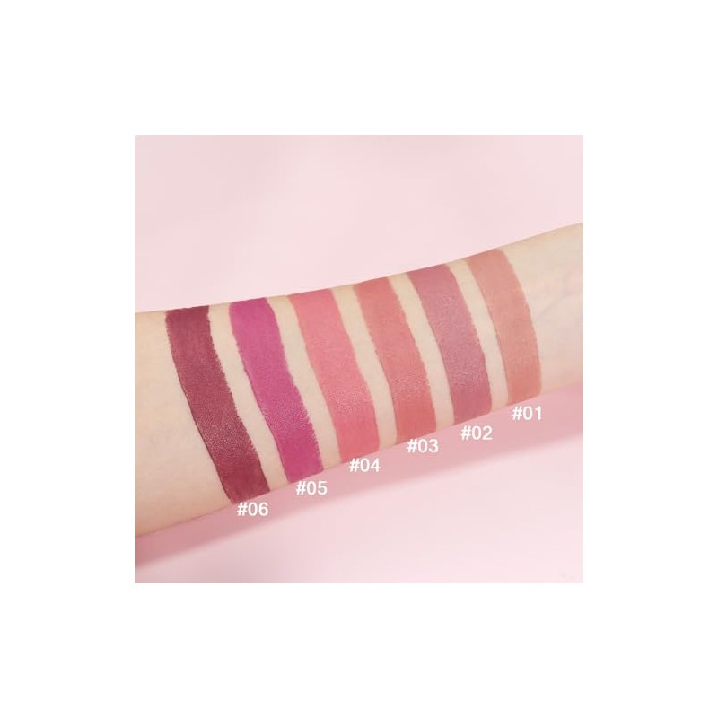 evpct- Juego de 6 pintalabios mate color piel, marrón, rosa,