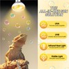 REPTI ZOO 2PACK Reptile Heat Lamp Bulb, 100W Full Spectrum