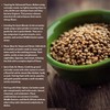 Coriander Seeds Whole 10 oz – Premium Grade, Aromatic &