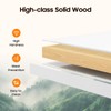 Fenjidrop Swing Door, Premium Solid Wood Swinging Doors, Modern Cafe