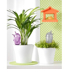 Scheurich Set of 4 Watering Balls, 220 ml, Transparent Water Dispenser, Bördy M (Clear) Water Reservoir