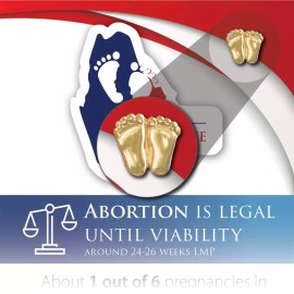 Heritage House '76 Precious Feet, Gold-Colored, Maine Stats Card Jewelry, Lapel Pin