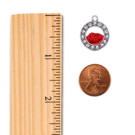 Inspired Silver - Red Rose - Silver Memory Charm for Women - Circle Charm Jewelry Gift with Cubic Zirconia - Women's Charm for Bracelets
