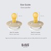 BIBS Colour Glow 2 Pack BPA Free Glow in the