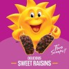 Kellogg's Raisin Bran Cereal 76.5 oz Family Size Kellogg’s Breakfast