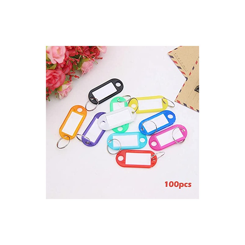 100 Pack Tough Plastic Key Tags with Label Window ID