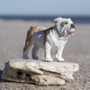 Safari Ltd. Bulldog Figurine - Lifelike 2.25" Model Figure -