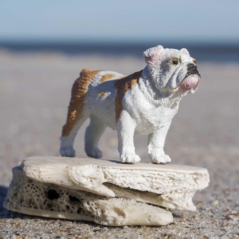 Safari Ltd. Bulldog Figurine - Lifelike 2.25" Model Figure -