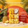 8oz Freeze Dried Tropical Mixed Fruit Snacks - Mango Pineapple