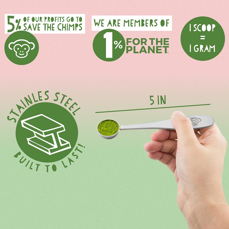 Matcha Green Tea Measuring Spoon/Scoop by PureChimp - Metal/Stainless Steel
