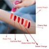 zalati Lip Glosses Set 6pcs Colors Lipstick Lip Stain Tint