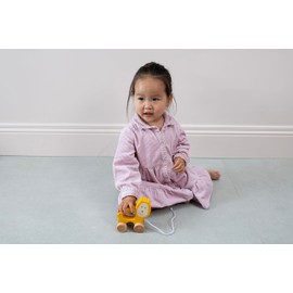 Matchstick Monkey, Playtime Wooden Pull Along Toy, Race or Push to Encourage Imaginative and Creative Play, Easy Grip, 12 Months Old+, Lion