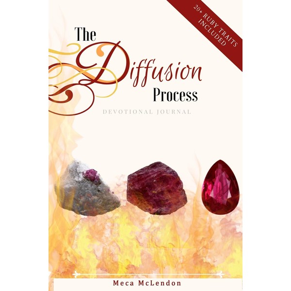 The Diffusion Process: Devotional Journal