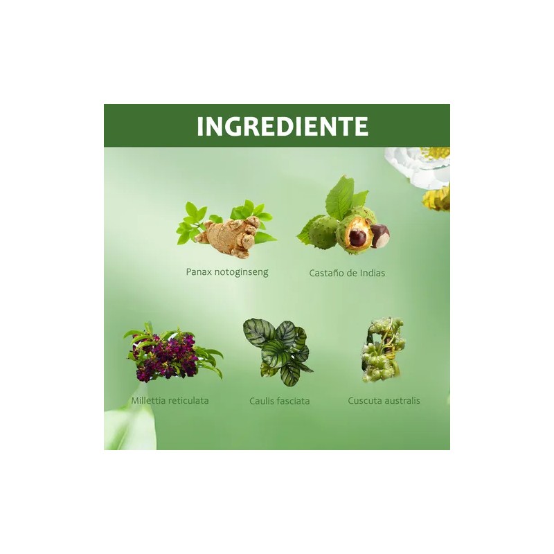 Planta Pomada Para El Ccuidado Linfático Cuidado Crema 20g