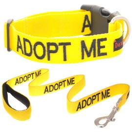 ADOPT ME (I Need A New Home) Yellow Colour Coded S-M L-XL Dog Collar and 60cm 1.2m 1.8m Luxury Neoprene Padded Handle Lead Sets PREVENTS Accidents By Warning Others Of Your Dog In Advance (S-M & 1.2m)