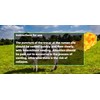 Cattle Trocar, Livestock Trocar,Equine and Cattle, Portable Ventilating Cattle Trocar,Portable