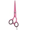 JAGUAR Pastel Plus Candy Crane 5.5 Inch Hairdressing Scissors Ergonomic