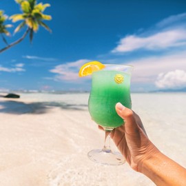 Bird Wine Glass Charms - Magnetic Drink Markers to Identify All Your Glassware - Set of 6 Cocktail Charms by Simply Charmed