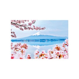 Set of 5 Postcards Spring Photo Cherry Blossoms Birds Wild Birds Flower Nature Scenery Cute Postcard Message Greeting Thank You Season Present Adult Greeting Card Stylish Interior 5.8 x 3.9 inches