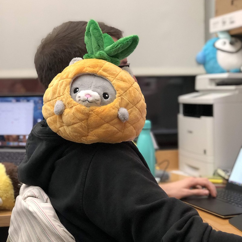 Squishable / Undercover Kitty in Pineapple - 7"
