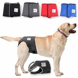 Nature Pet Hygiene Sanitary Pants for Female Dogs/ Pet Dog Incontinence Pants, m