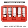 CASOMAN 3/8-Inch Drive Spark Plug Socket Set, 6-Point, 5/8-Inch, 3/4-Inch,