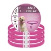 4 Pieza Collar con Hebilla, 65CM/26.6in (Rosa)