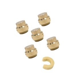 (Pack of 5) EFIELD 1/2 Inch Plug End Cap Push-Fit Fitting to Connect Pex, Copper, CPVC with a Disconnect Clip,(PF143-5PCS)