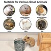 Acsist 2 Pcs Hamster Feeding & Water Bowls, Glass Hamster